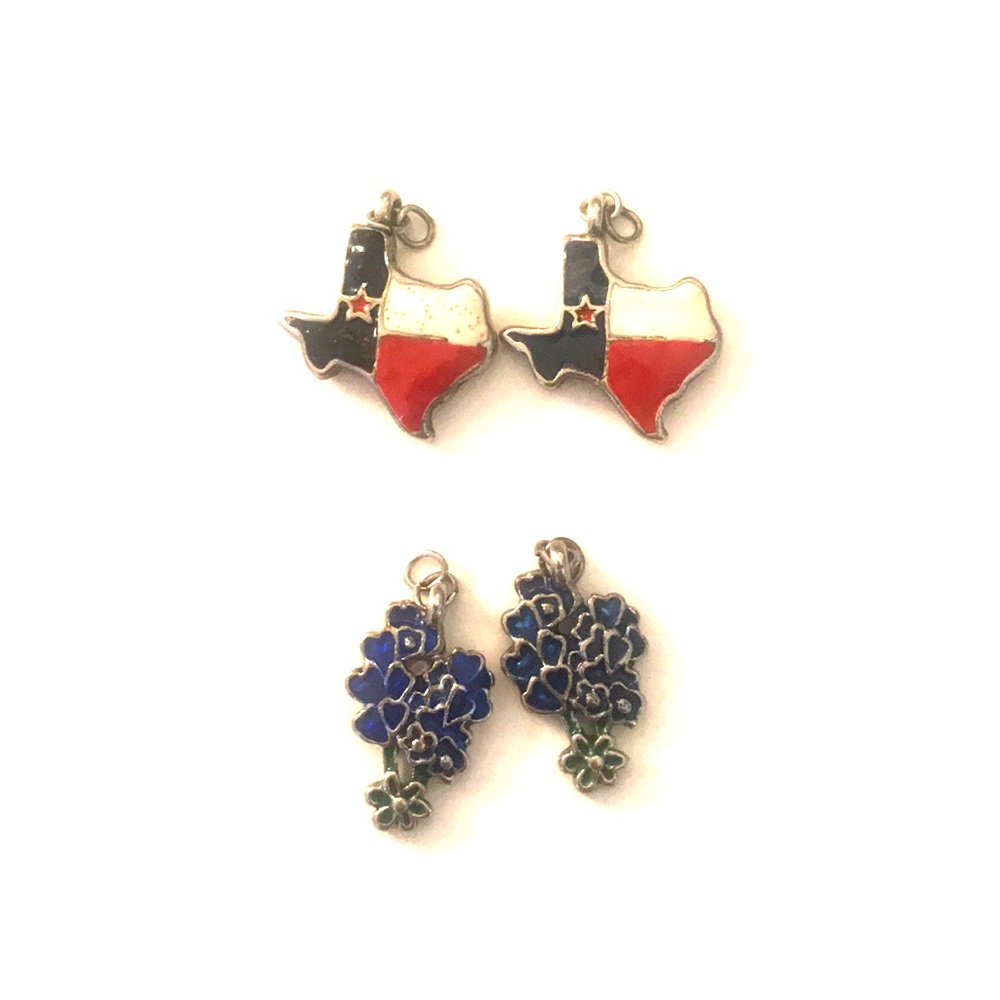 Bluebonnet and Texas charms